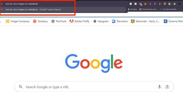 Enter Your Query in the Address Bar
